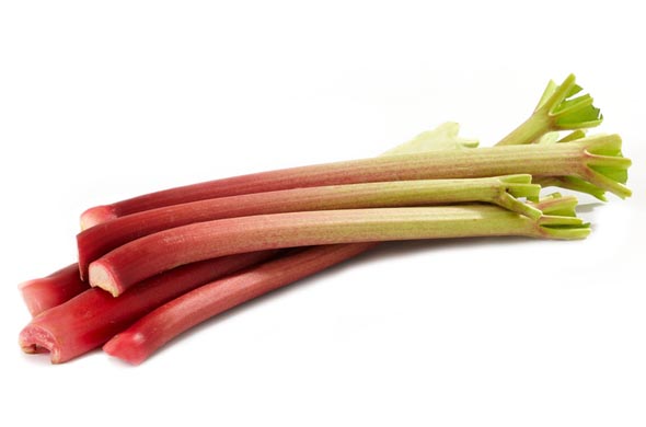 La rhubarbe