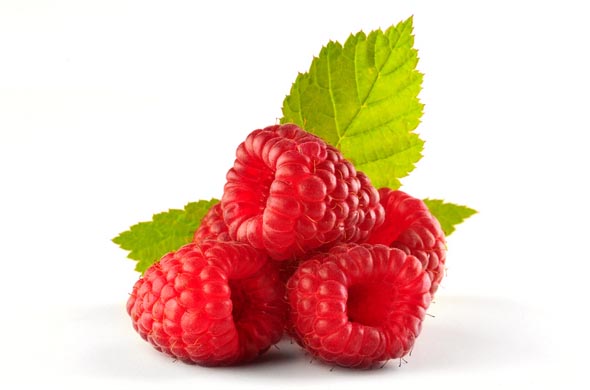 Die Himbeere