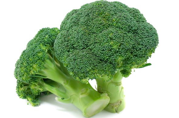 Resultado de imagen de brocoli