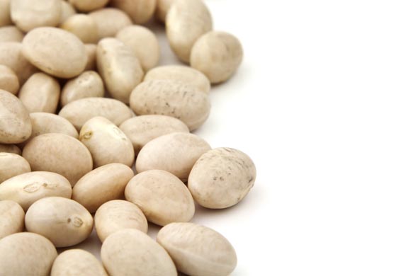 1347952471haricotblanc