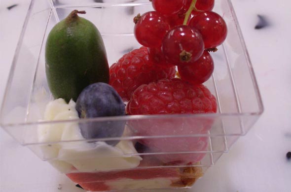 Verrine de crème vanillée aux spéculoos et fruits rouges