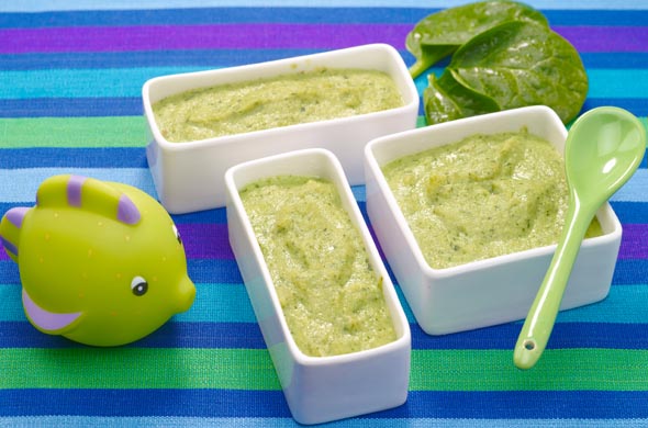 Colin A La Puree D Epinards Crus Cuisine De Bebe Colin A La Puree D Epinards Crus Cuisine De Bebe