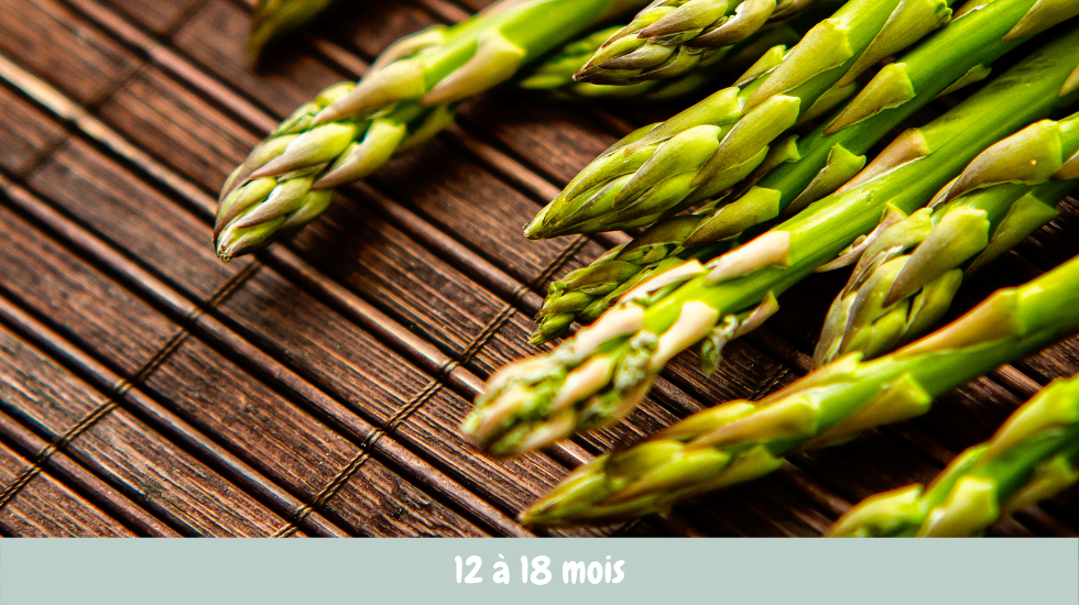 asperge recette bébé