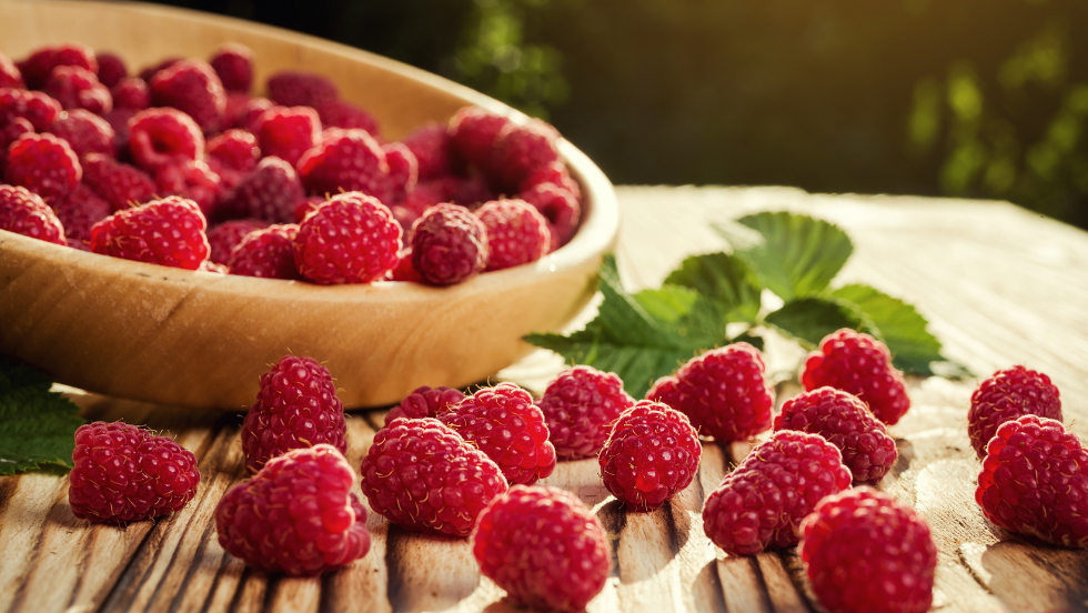 Compote de framboises pour bébé - Programme Malin