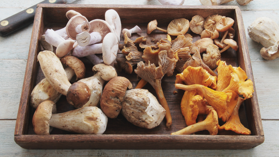 Préparer l'arrivée de bébé - Petit Champignon de Paris