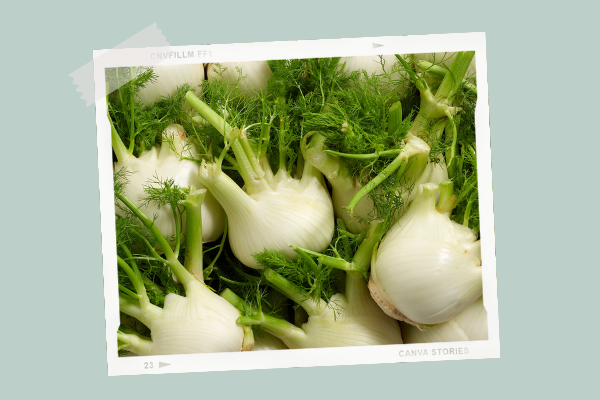 Le Fenouil Cuisine De Bebe