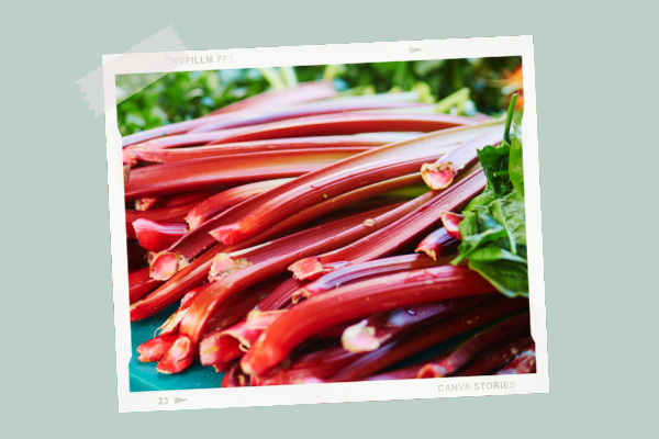 La Rhubarbe Cuisine De Bebe