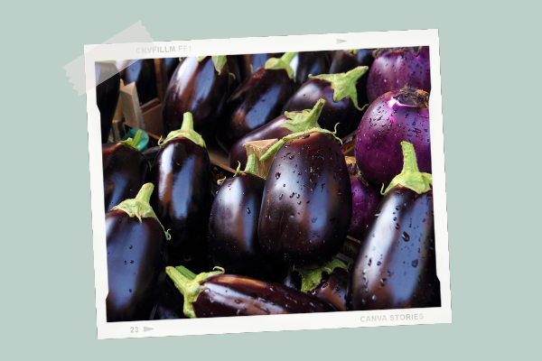 L Aubergine Cuisine De Bebe L Aubergine Cuisine De Bebe