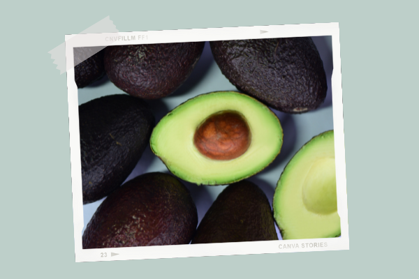 L Avocat Cuisine De Bebe