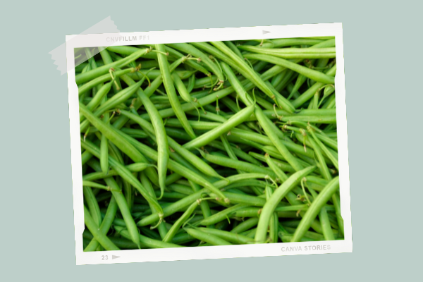 Le haricot vert | Cuisine de bébé