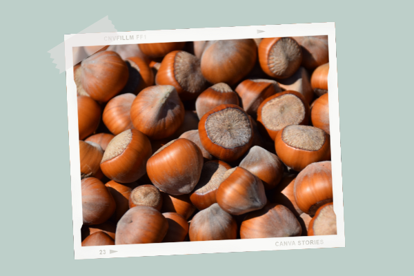 La Noisette Cuisine De Bebe La Noisette Cuisine De Bebe