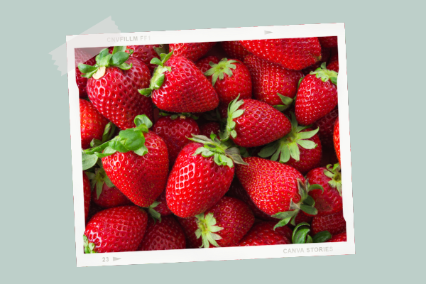 La Fraise Cuisine De Bebe