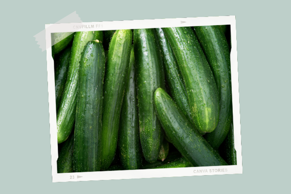 Le Concombre Cuisine De Bebe