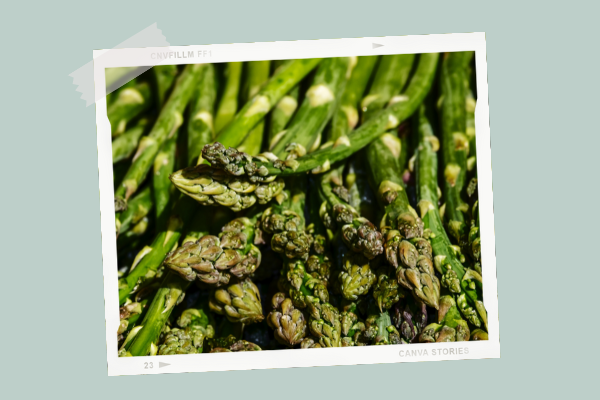 L Asperge Cuisine De Bebe