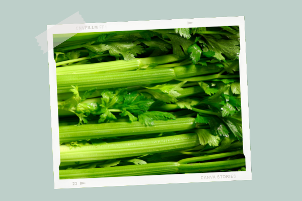 Le Celeri Cuisine De Bebe