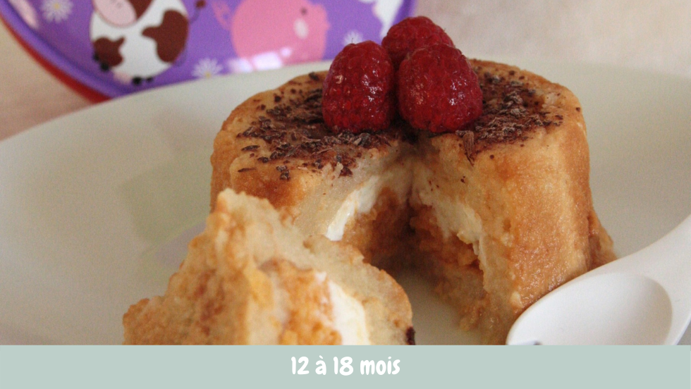 Charlotte Au Kaki Et Petit Suisse Recette Blog Cuisine De Bebe Charlotte Au Kaki Et Petit Suisse Recette Blog Cuisine De Bebe