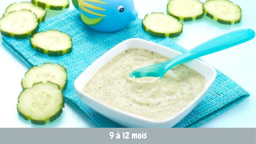 Poulet Concombre Cuisine De Bebe