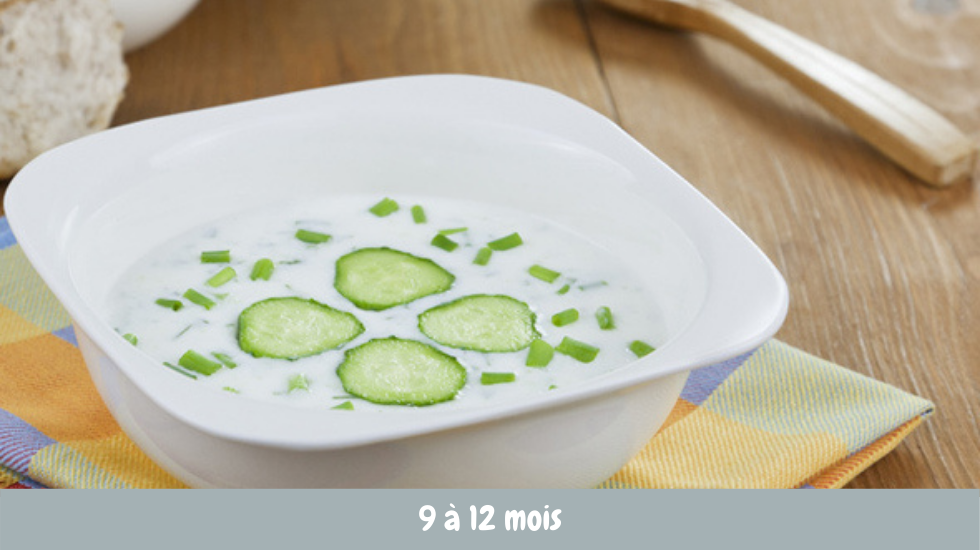 Puree Rafraichissante De Thon Au Concombre