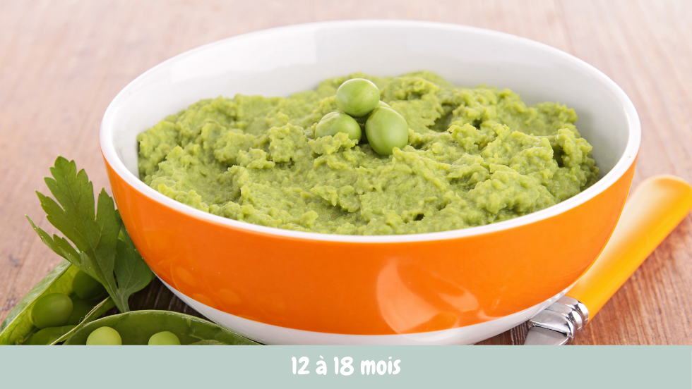 puree petit pois pour bebe