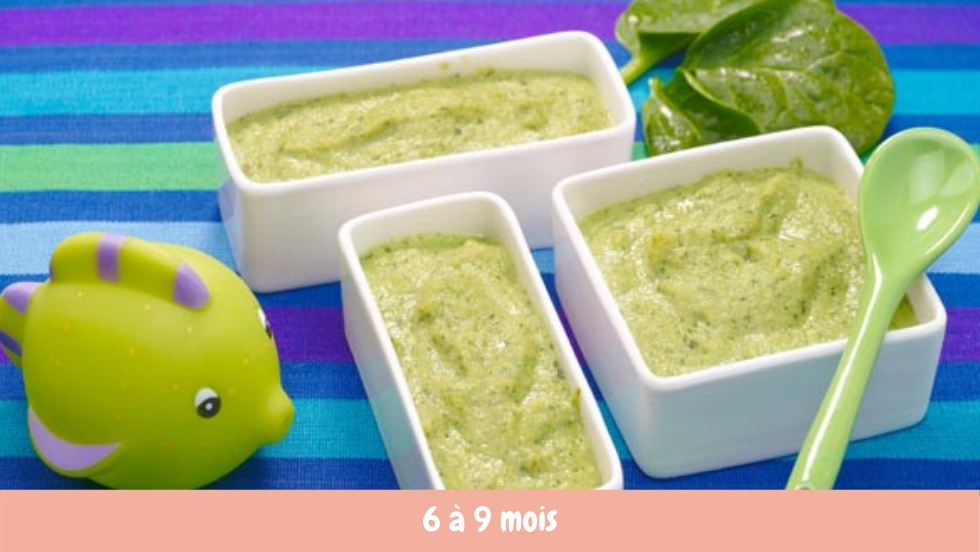 Colin à la purée d’épinards crus Cuisine de bébé