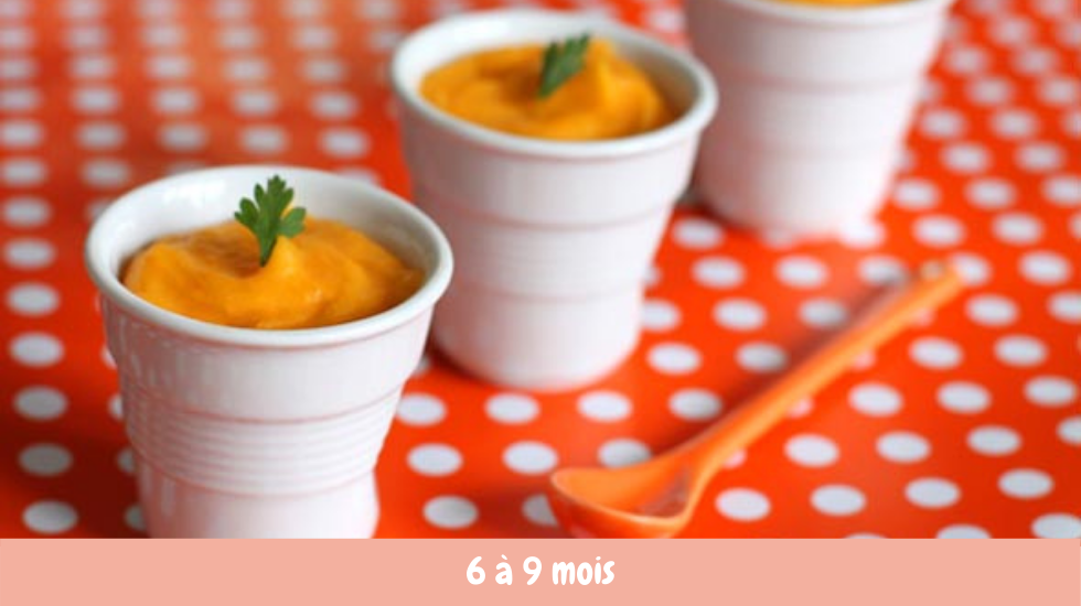 Petit Pot Bebe Panais Carotte