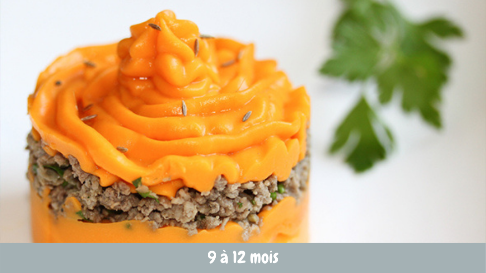 Parmentier De Patate Douce Pour Bebe Cuisine De Bebe