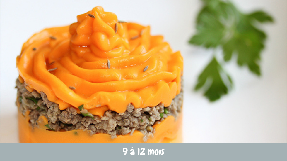 Parmentier De Patate Douce Pour Bebe Cuisine De Bebe Parmentier De Patate Douce Pour Bebe Cuisine De Bebe