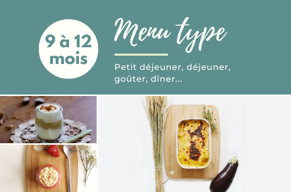 Menu Type Pour La Semaine De Bebe De 9 Mois A 12 Mois Cuisine De Bebe