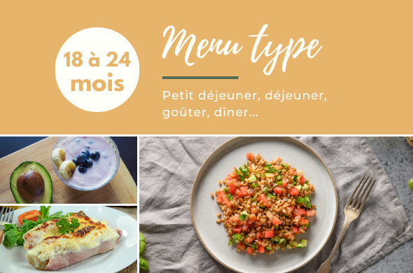 Menu type pour la semaine de bébé de 18 mois à 24 mois