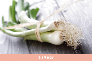 recette bébé poireau