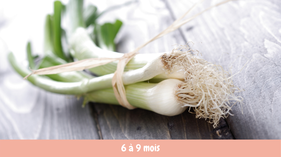 recette bébé poireau