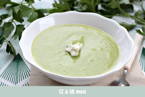 purée courgette bébé