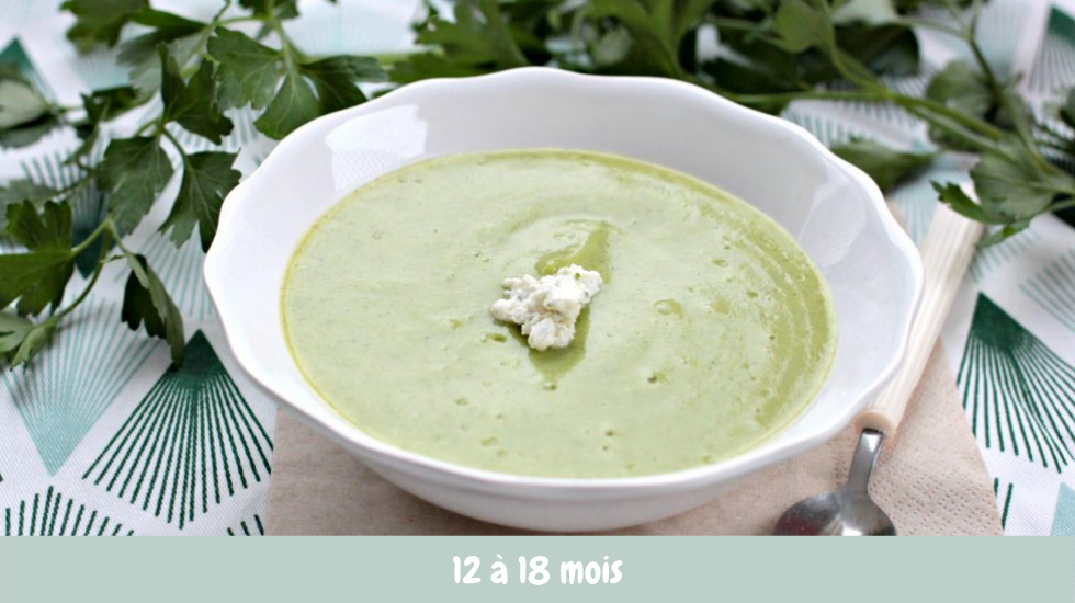 purée courgette bébé