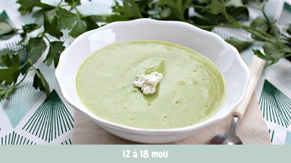 Puree Courgette 12 18 Mois