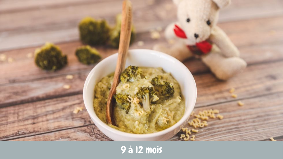 Recette De Pates Aux Brocolis Pour Bebe Cuisine De Bebe Recette De Pates Aux Brocolis Pour Bebe Cuisine De Bebe