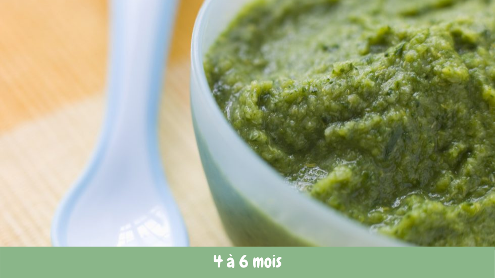 Recette Petit Pot Bebe Ma Premiere Puree De Haricots Verts Cuisine De Bebe