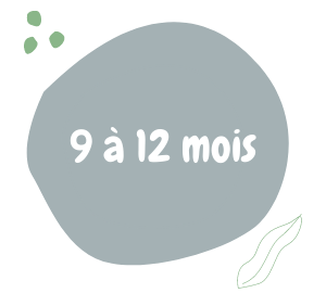 cuisine bébé, diversification alimentaire 9 à 12 mois