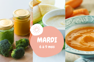 menu de la semaine mardi 6 à 9 mois