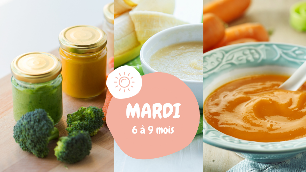 menu de la semaine mardi 6 à 9 mois