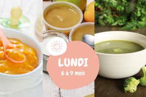 menu de la semaine lundi 6 à 9 mois