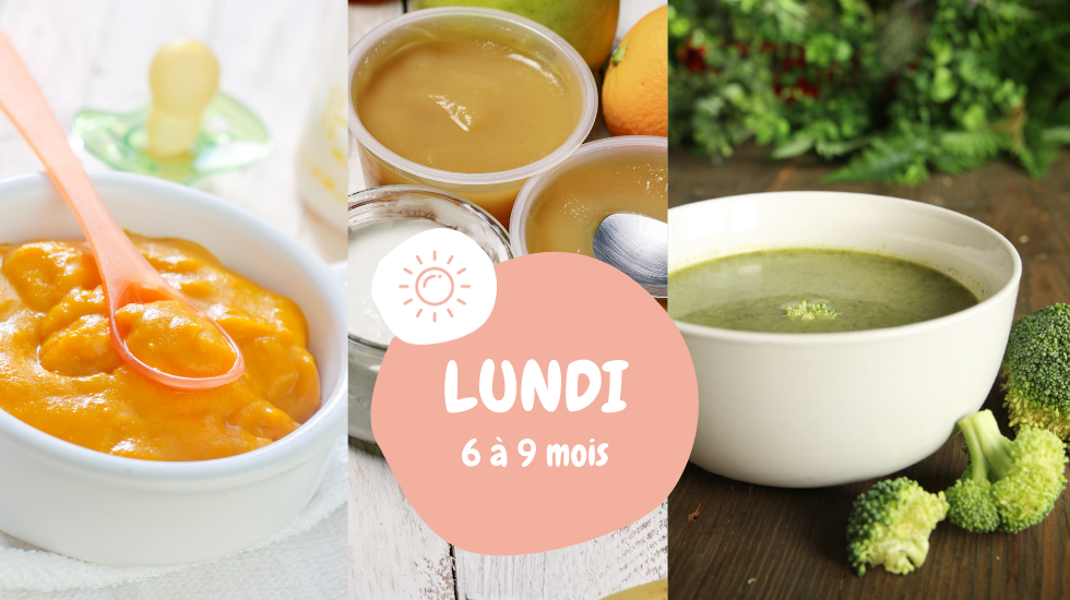 menu de la semaine lundi 6 à 9 mois