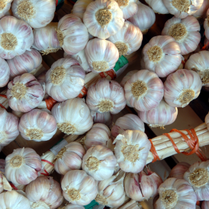 ail, aliment, diversification alimentaire